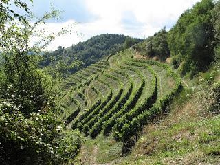 Le Fel, village vigneron dans l'Aveyron