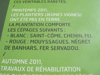 Le Fel, village vigneron dans l'Aveyron