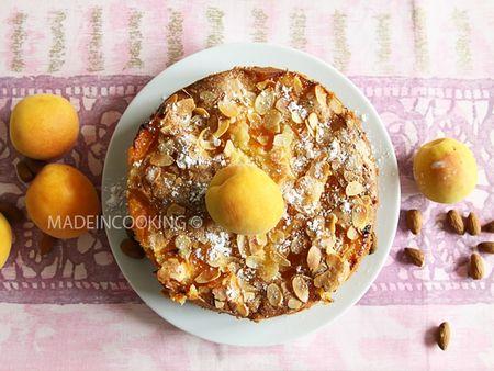 MoelYaourAbricoBLOG14