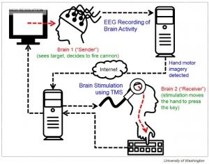 NEURO: Première interface web cerveau-cerveau non invasive  – UW