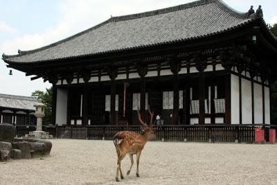 Nara, la ville des temples et des chevreuils