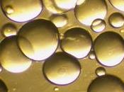 Dynamique pool lipides muscle squelettique