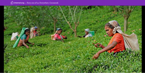 Facebook lance internet pour tous internet.org