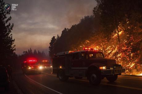 Fighting The Yosemite Forest Fires