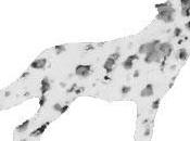 José Bové monte encore front