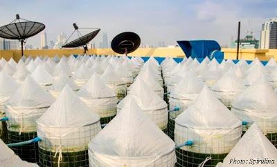 Culture Inca sur les toits de Bangkok [HD]