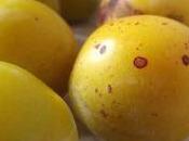 Tartelettes mirabelles