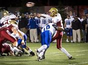 débute dans ruche abeilles fuyantes...
