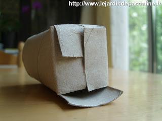 Récupération pour bouture