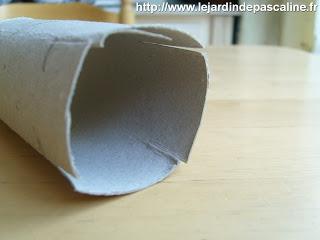 Récupération pour bouture