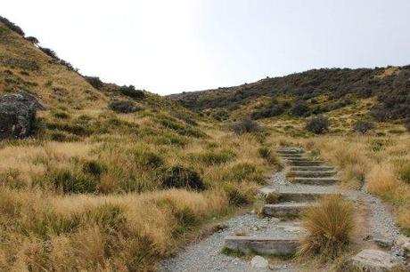 Mont cook nouvelle Zélande - les lubies de Louise (41 sur 57)