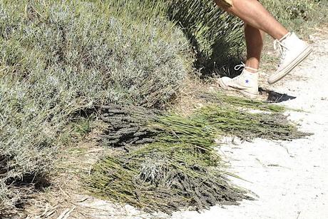 Mes invités parfaits.