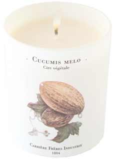 Cucumis Melo (melon d'eau)