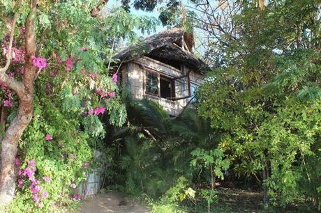 111 - 22 AU 23 O7 13 CAP MACLEAR SUPER SYMPA17) (22)