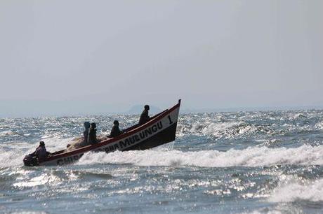 29 07 13 Ngala JPG (1)