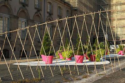 Il y a des bambous... là !