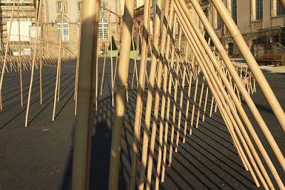 Il y a des bambous... là !