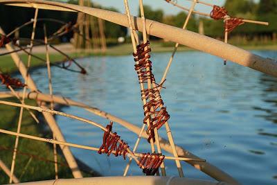 Il y a des bambous... là !