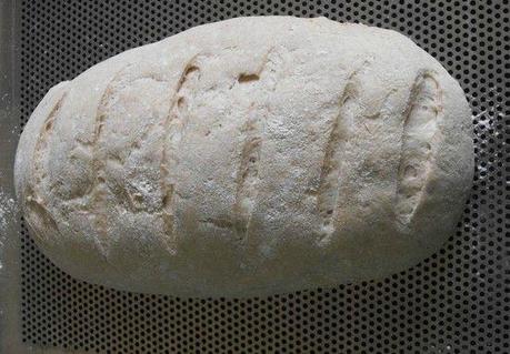 pain à la farine T110