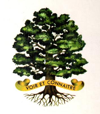 Voir et Connaitre (logo)