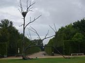 Sommaire d’août 2013