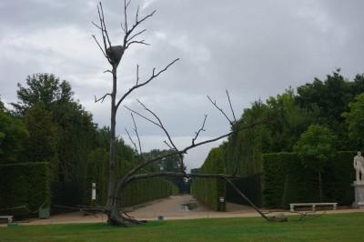 Sommaire d’août 2013