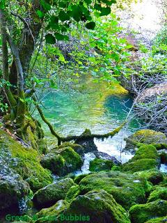 Et au milieu coule une rivière...