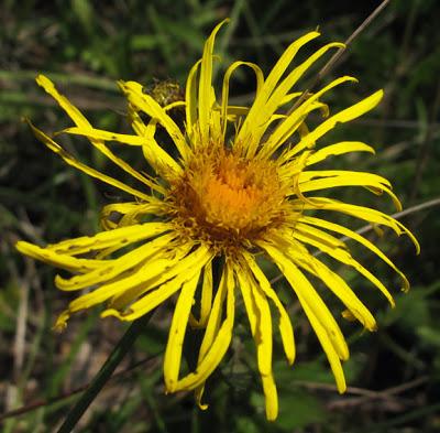 En vrac dans le cartable…