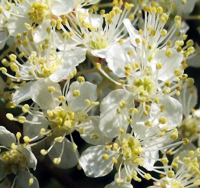 En vrac dans le cartable…