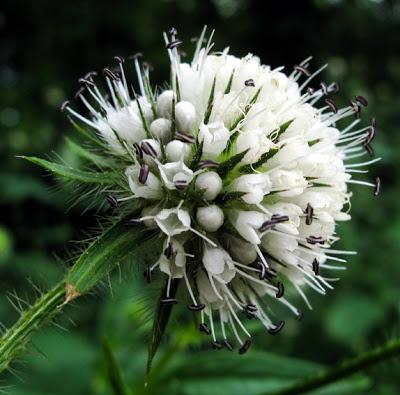 En vrac dans le cartable…