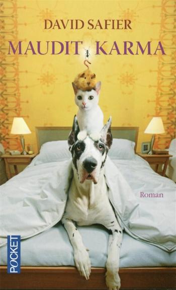 Maudit karma - David Safier