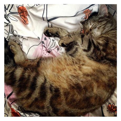 Juillet-Août en quelques photos