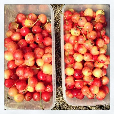 Juillet-Août en quelques photos