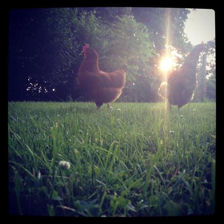 Juillet-Août en quelques photos