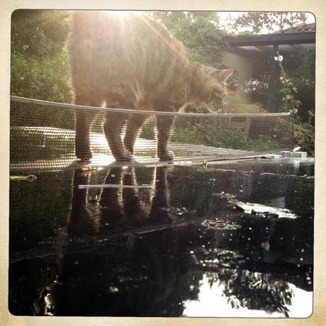 Juillet-Août en quelques photos