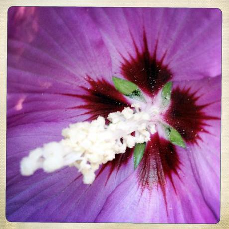 Juillet-Août en quelques photos