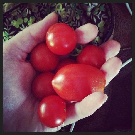 Juillet-Août en quelques photos