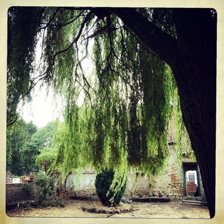 Juillet-Août en quelques photos