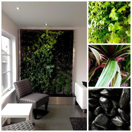 Se démarquer selon ses valeurs et ses passions.