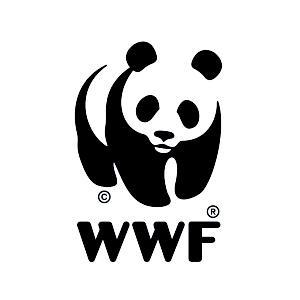 Où en sommes nous avec les tests sur les animaux ? Panda_WWF