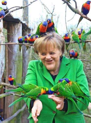 Merkel en vert