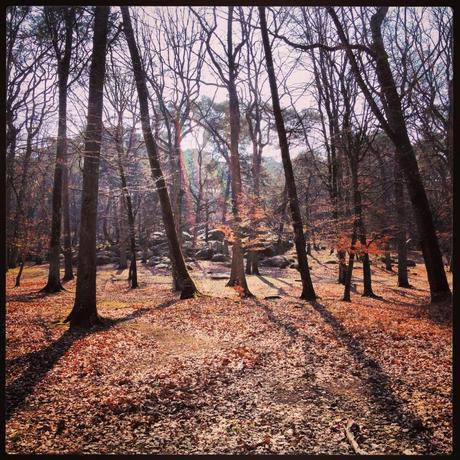 10 idées week-end à moins d’une heure de Paris img_1285