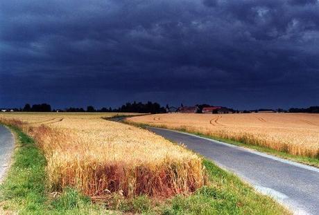 10 idées week-end à moins d’une heure de Paris e85d5704720b26d0df0c09f34c92ae1f insolite dans Voyager à Paris