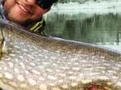 niklaus bauer gros tubes