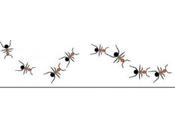 Résoudre problèmes inimaginables