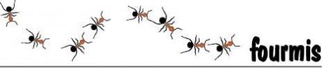 fourmis,sciences,sociologie,économie,intelligence,éducation,management