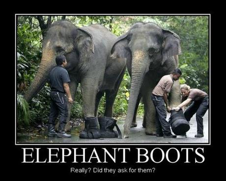 éléphant avec des bottes