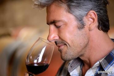 Ecole du vin bio : offrez-vous une formation !