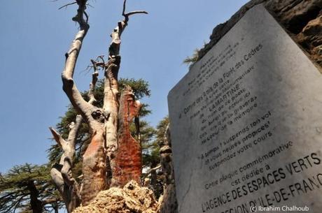Plaque franco-libanaise! Photo (C) Ibrahim Chalhoub