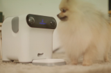 SinglePet : prenez soin de votre chien à distance